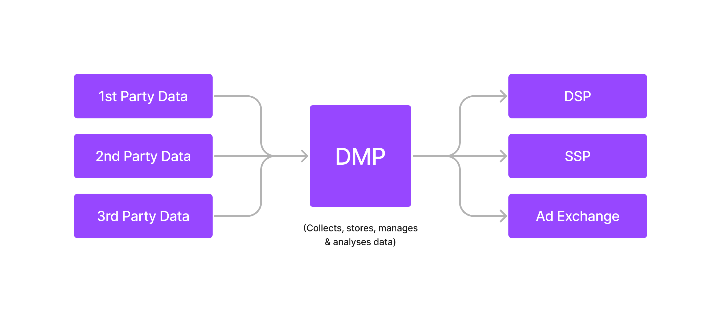 DMP (Data Management Platform)